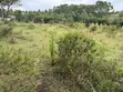 One Eighth Plots for Sale in Ngong - Matasia - 1