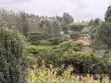 One Eighth Plots for Sale in Ngong - Matasia - 4