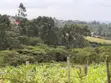 One Eighth Plots for Sale in Ngong - Matasia - 5