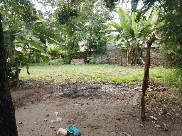 Kiwanja cha Biashara Kinauzwa Bamburi Mtambo - 1