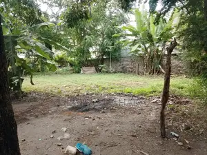 Kiwanja cha Biashara Kinauzwa Bamburi Mtambo