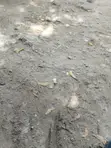 Kiwanja cha Biashara Kinauzwa Bamburi Mtambo - 3