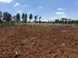 Vipande Bora vya Eka Moja Ngong - 5