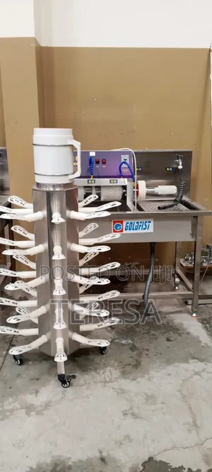 Goldcrown Shoe Washing Machine with Dryer