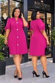 Classy Senori Brand Dress - 4