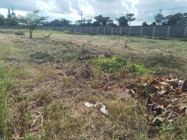 Lovely Half Acre Land in Karen - 1