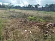 Lovely Half Acre Land in Karen - 1