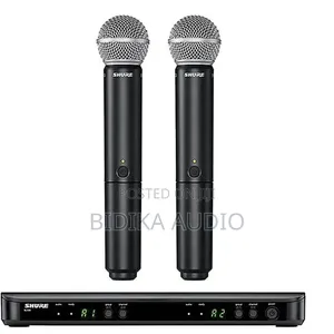 Shure BLX288/SM58 Vichwa vya Redio vya Dual-Channel