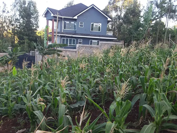 One Eighth Residential Plots for Sale in Ngong - Matasia - 1