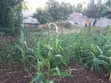 Viwanja vya Makazi Vya Nusu Eka Vinauzwa Ngong - Matasia - 4
