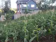 Viwanja vya Makazi Vya Nusu Eka Vinauzwa Ngong - Matasia - 5