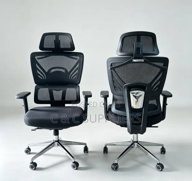Mesh Executive Seat with Lumbar Support - 1