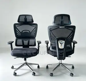 Mesh Executive Seat with Lumbar Support