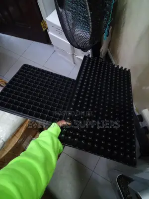 Trei za Kuotesha Miche ya Mbegu za Bustani