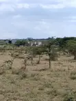 Prime 1/8 Acre Plots for Sale in Kiserian - 3