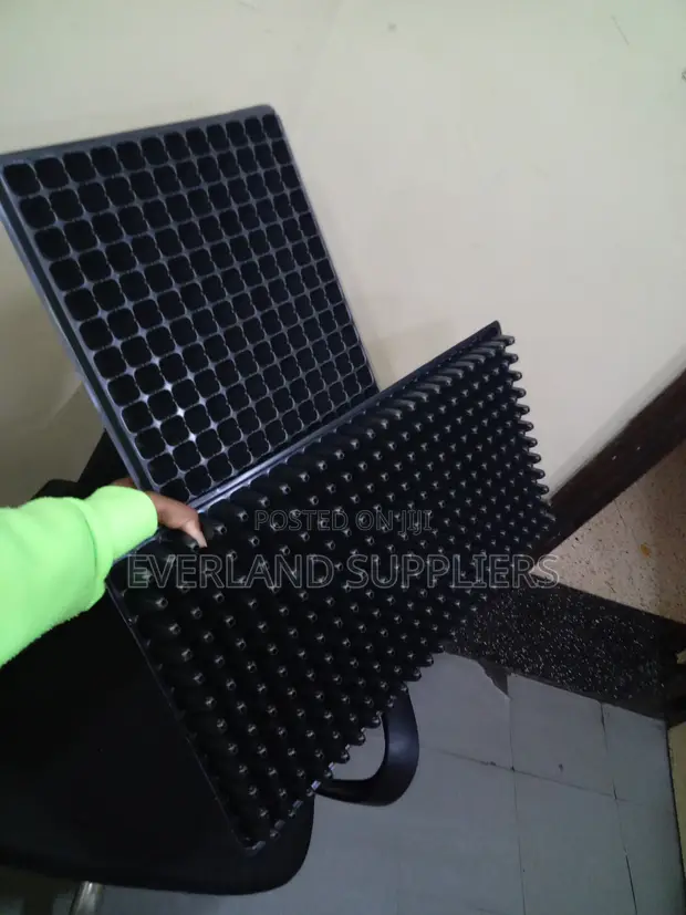 Cabbage Seedling Trays - Wholesale - 1