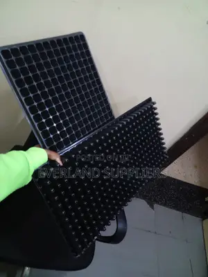 Trei za Miti ya Kabichi - Jumla