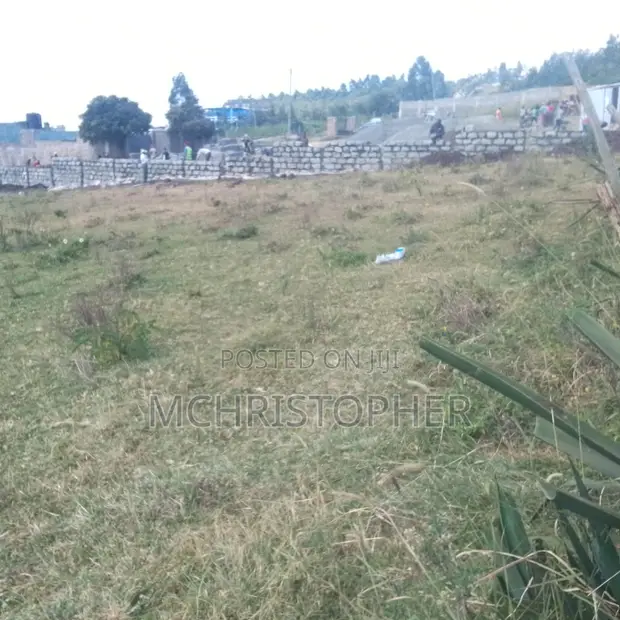 Prime Quarter Acre Plots in Ngong - 1