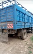 Isuzu FTR Lori Rigid - 2022 - 4