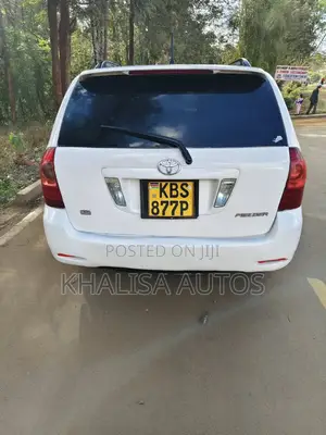 Toyota Corolla Fielder 2006 Nyeupe