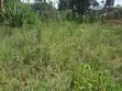 Viwanja Vya Nusu Eka Ongata Rongai Vinauzwa - 4