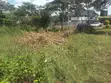 Viwanja Vya Nusu Eka Ongata Rongai Vinauzwa - 5