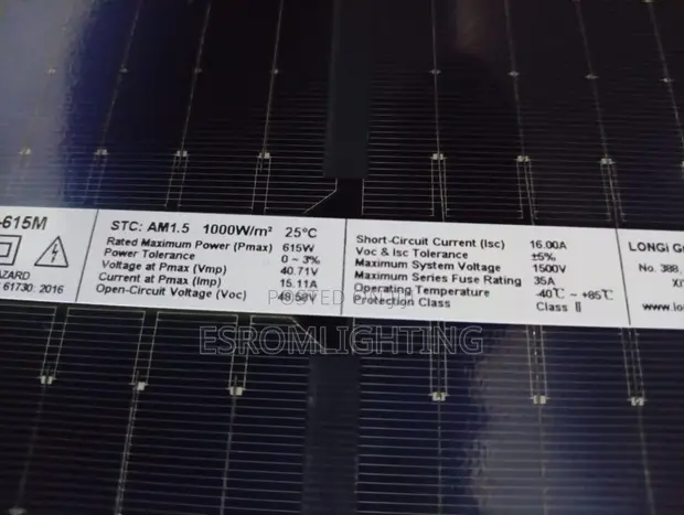 LONGi 615W Monocrystalline Solar Panel - 1