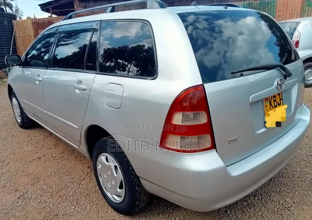 Toyota Corolla Fielder 2005 Silver - 1