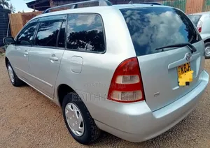 Toyota Corolla Fielder 2005 Silver