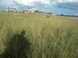 Prime One Eighth Plots for Sale in Ongata Rongai - 2