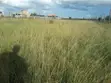 Prime One Eighth Plots for Sale in Ongata Rongai - 4
