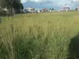 Prime One Eighth Plots for Sale in Ongata Rongai - 5