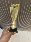 Individual Presentation Trophy - 1