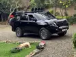 Nissan Patrol 2018 Black - Supercharged 650HP - 1