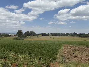 Land for Sale in Nyahururu Suera/Gatimu - KSh 3.55M Per Acre