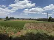 Ardhi Inauzwa Nyahururu Suera/Gatimu - KSh 3.55M Kwa Eka - 3