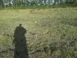 Viwanja vya Nusu-Eka Uuzaji Ongata Rongai - Rangau - 3