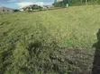 Viwanja vya Nusu-Eka Uuzaji Ongata Rongai - Rangau - 4