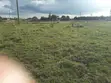 Viwanja vya Nusu-Eka Uuzaji Ongata Rongai - Rangau - 5