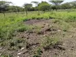 One Acre Residential Land for Sale in Ongata Rongai - 3