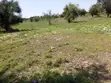 One Acre Residential Land for Sale in Ongata Rongai - 4