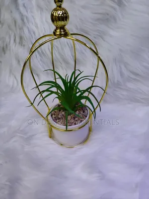 Large Succulent Wire Decor