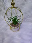 Large Succulent Wire Decor - 1