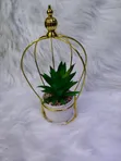 Large Succulent Wire Decor - 2