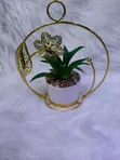 Large Succulent Wire Decor - 5