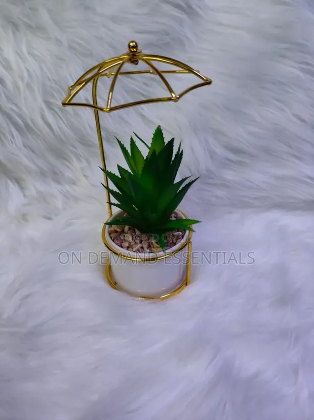 Succulent Small Wire Decor - 1