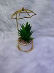 Succulent Small Wire Decor - 1