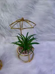 Succulent Small Wire Decor - 2