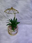 Succulent Small Wire Decor - 3