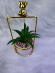 Succulent Small Wire Decor - 4